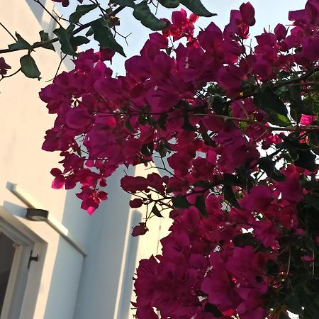 Isalos Paros Náousa Buitenkant foto